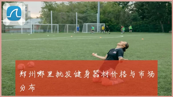 郑州哪里批发健身器材价格与市场分布