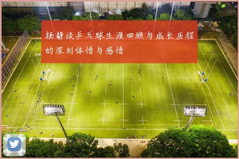 杨静谈乒乓球生涯回顾与成长历程的深刻体悟与感悟
