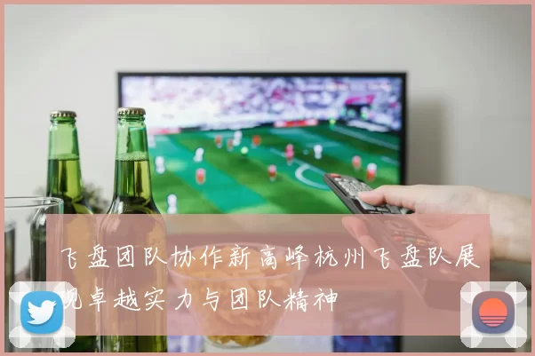 飞盘团队协作新高峰杭州飞盘队展现卓越实力与团队精神