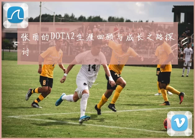 张丽的DOTA2生涯回顾与成长之路探讨