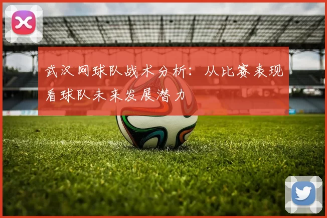 武汉网球队战术分析：从比赛表现看球队未来发展潜力