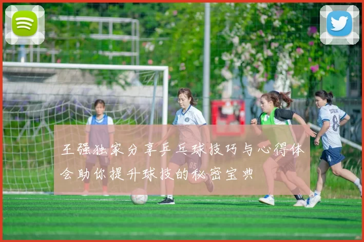 王强独家分享乒乓球技巧与心得体会助你提升球技的秘密宝典