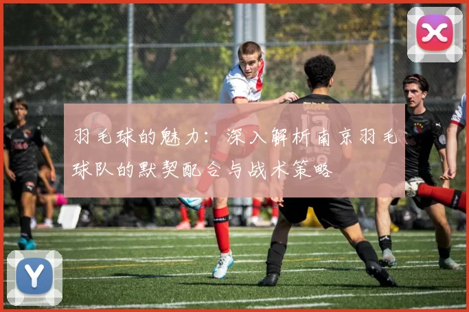 羽毛球的魅力：深入解析南京羽毛球队的默契配合与战术策略