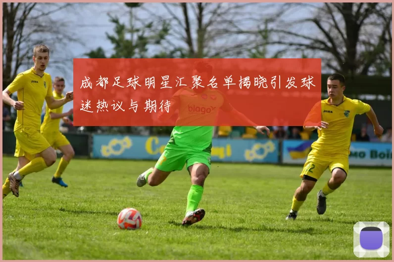 成都足球明星汇聚名单揭晓引发球迷热议与期待
