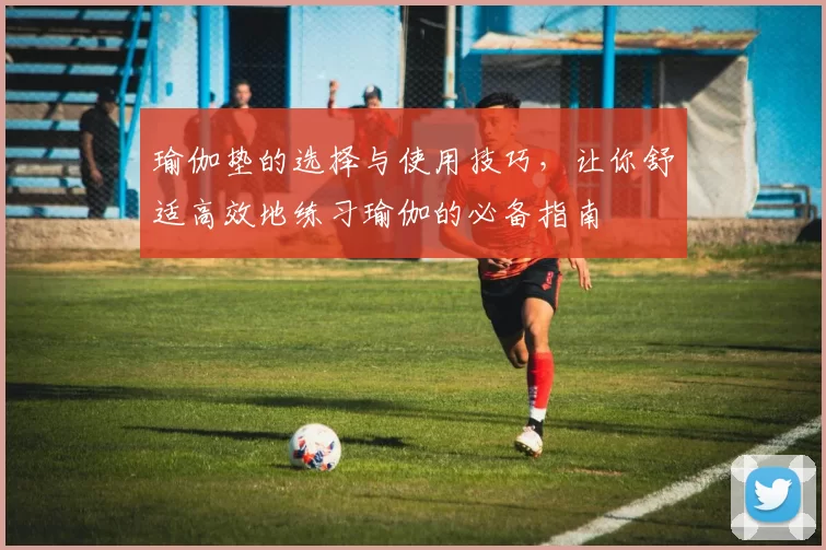 瑜伽垫的选择与使用技巧，让你舒适高效地练习瑜伽的必备指南