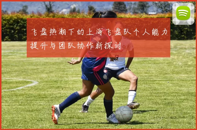 飞盘热潮下的上海飞盘队个人能力提升与团队协作新探讨