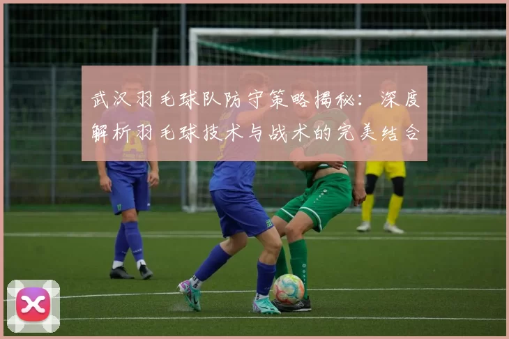 武汉羽毛球队防守策略揭秘：深度解析羽毛球技术与战术的完美结合