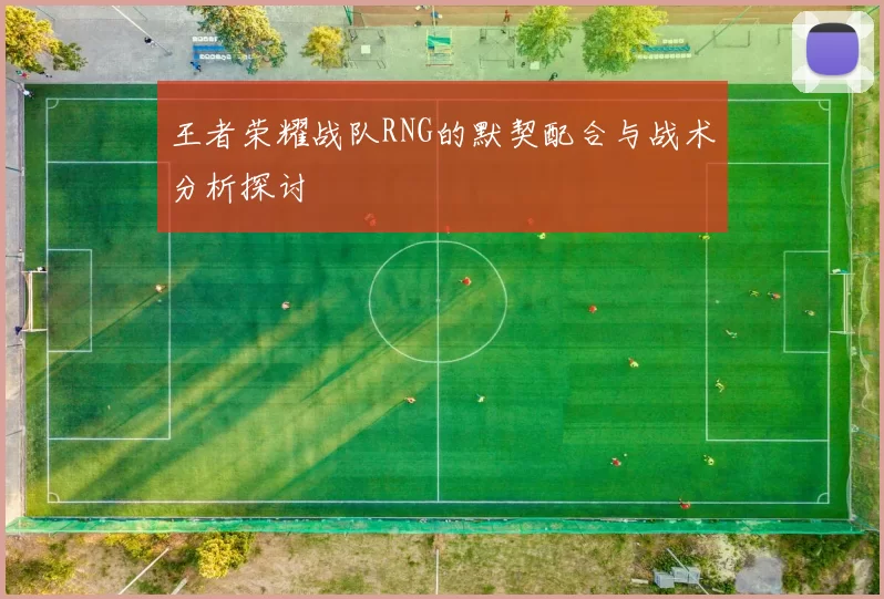 王者荣耀战队RNG的默契配合与战术分析探讨