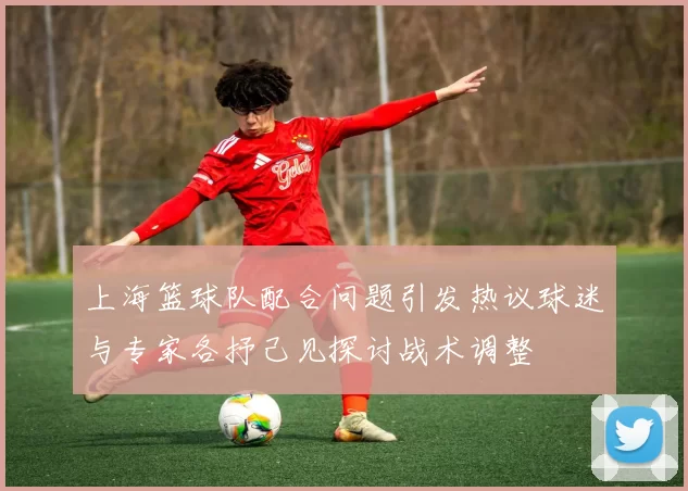 上海篮球队配合问题引发热议球迷与专家各抒己见探讨战术调整
