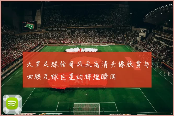 大罗足球传奇风采高清头像欣赏与回顾足球巨星的辉煌瞬间