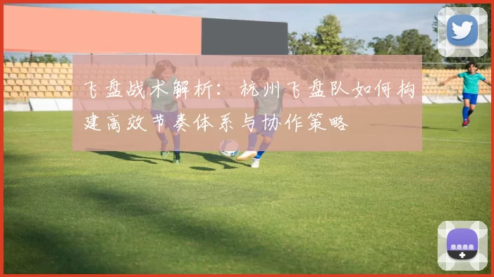 飞盘战术解析：杭州飞盘队如何构建高效节奏体系与协作策略