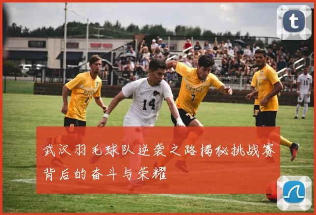 武汉羽毛球队逆袭之路揭秘挑战赛背后的奋斗与荣耀