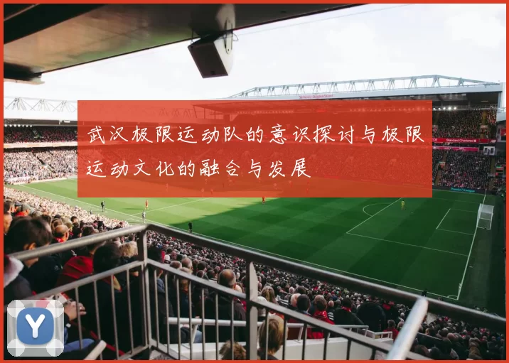 武汉极限运动队的意识探讨与极限运动文化的融合与发展