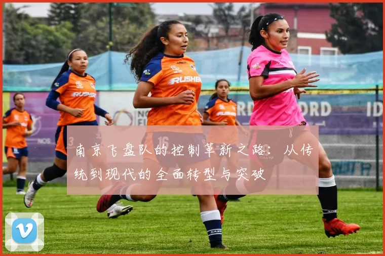 南京飞盘队的控制革新之路：从传统到现代的全面转型与突破