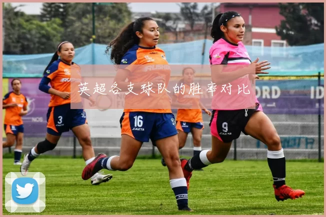 英超各支球队的胜率对比