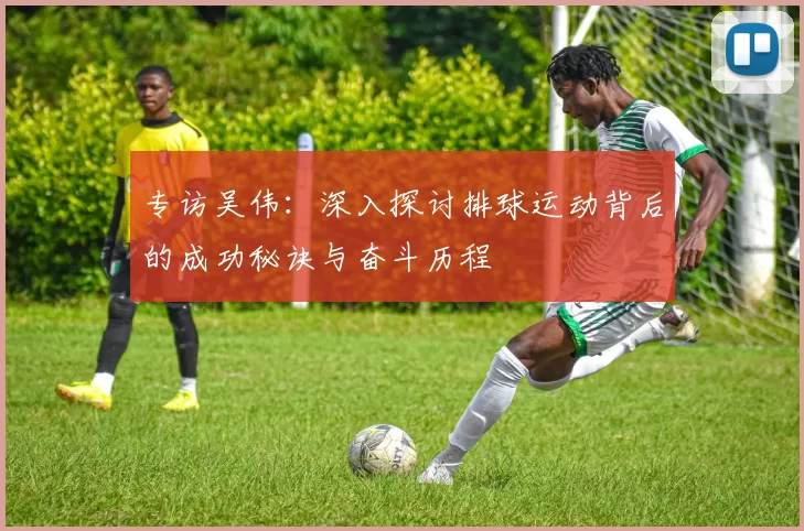 专访吴伟：深入探讨排球运动背后的成功秘诀与奋斗历程