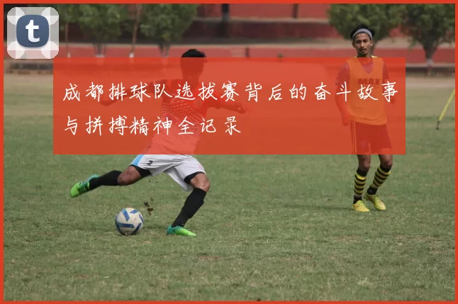成都排球队选拔赛背后的奋斗故事与拼搏精神全记录