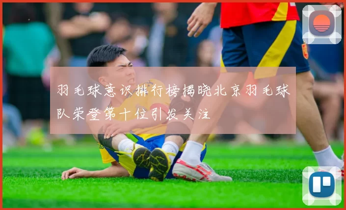 羽毛球意识排行榜揭晓北京羽毛球队荣登第十位引发关注
