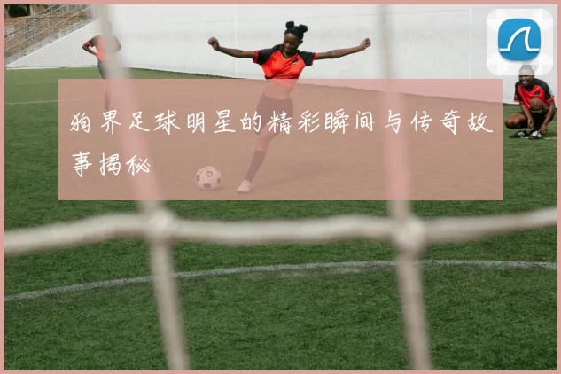 狗界足球明星的精彩瞬间与传奇故事揭秘