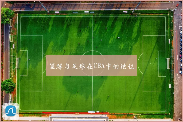 篮球与足球在CBA中的地位